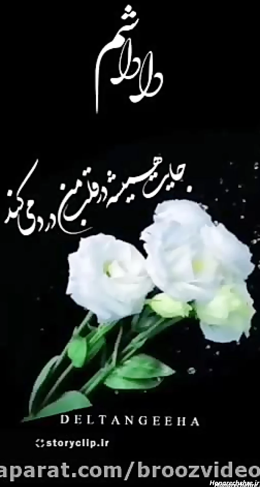 20 عکس از فوت برادر جوان با یادگاریهای ماندگار