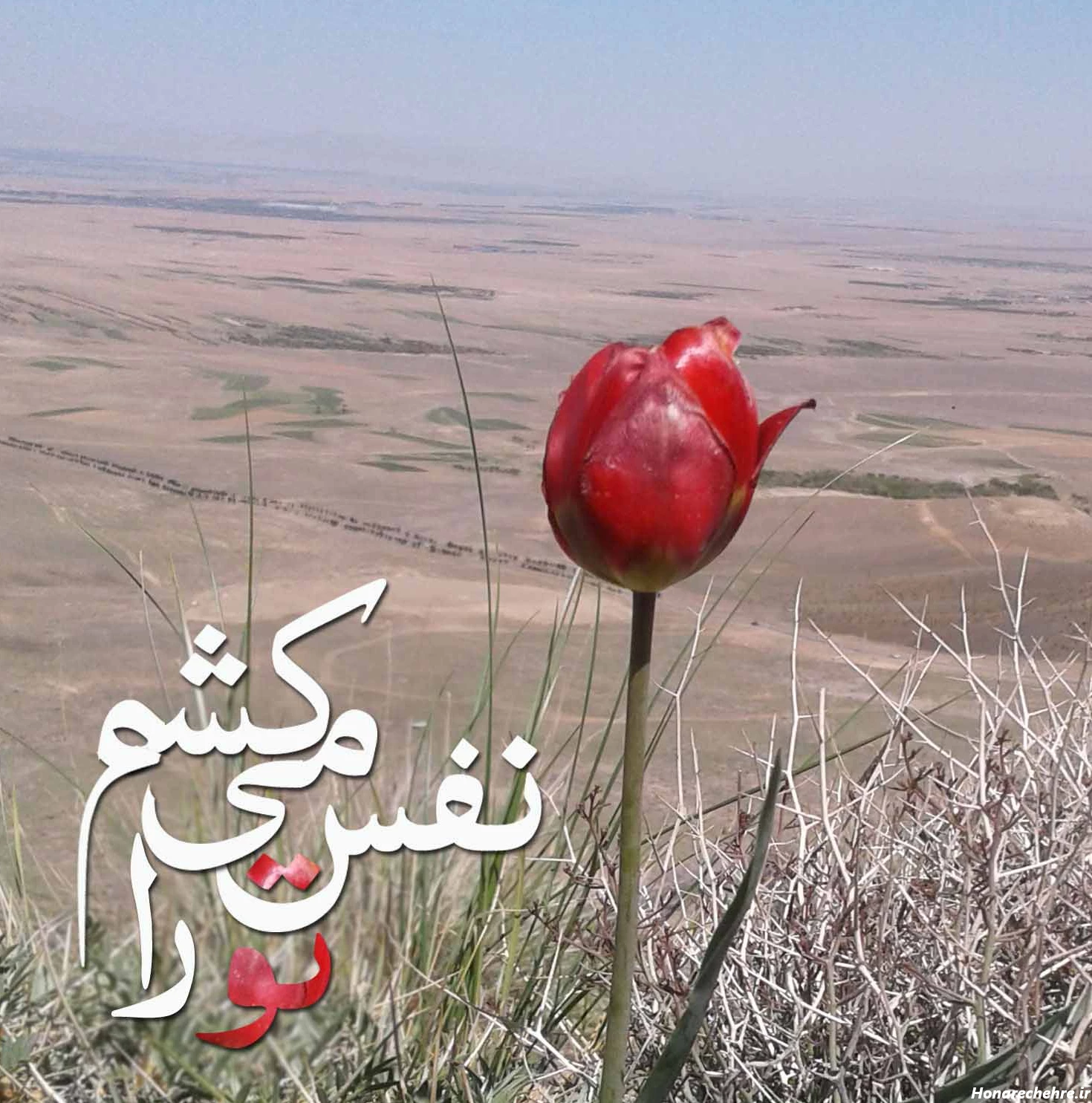 عکس در مورد خدا :: عشق فقط خدا