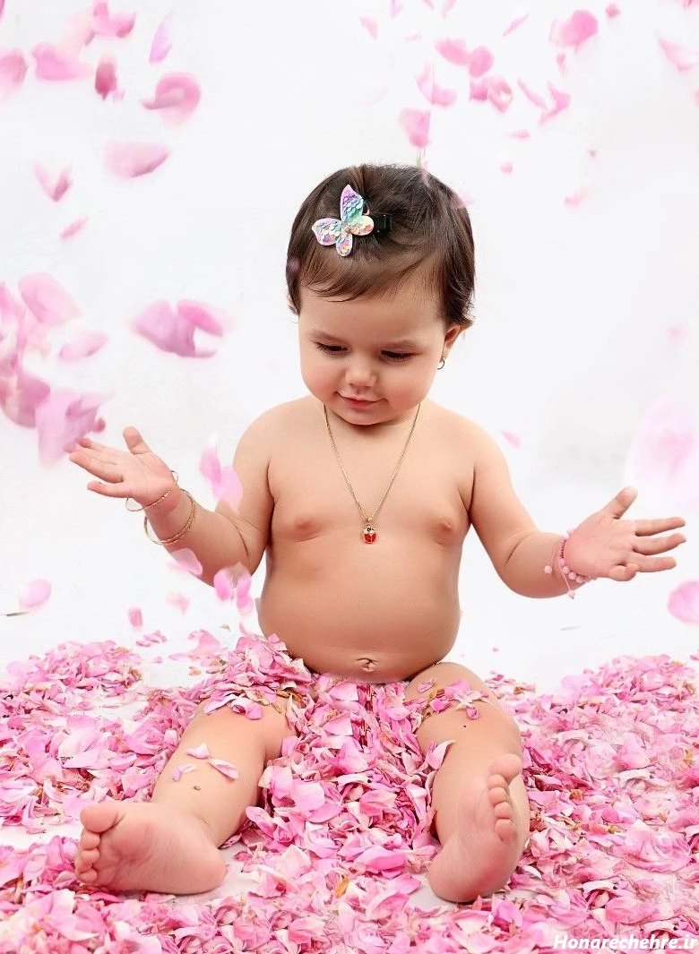 عکسها و خاطرات مربوط به گل-محمدی-گلاب