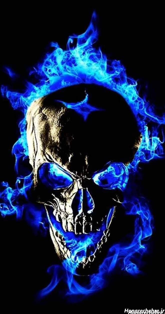 عکس اسکلت واقعی انسان