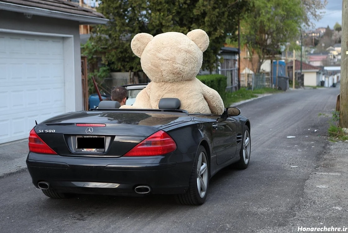 عکس خرس فانتزی بامزه صورتی