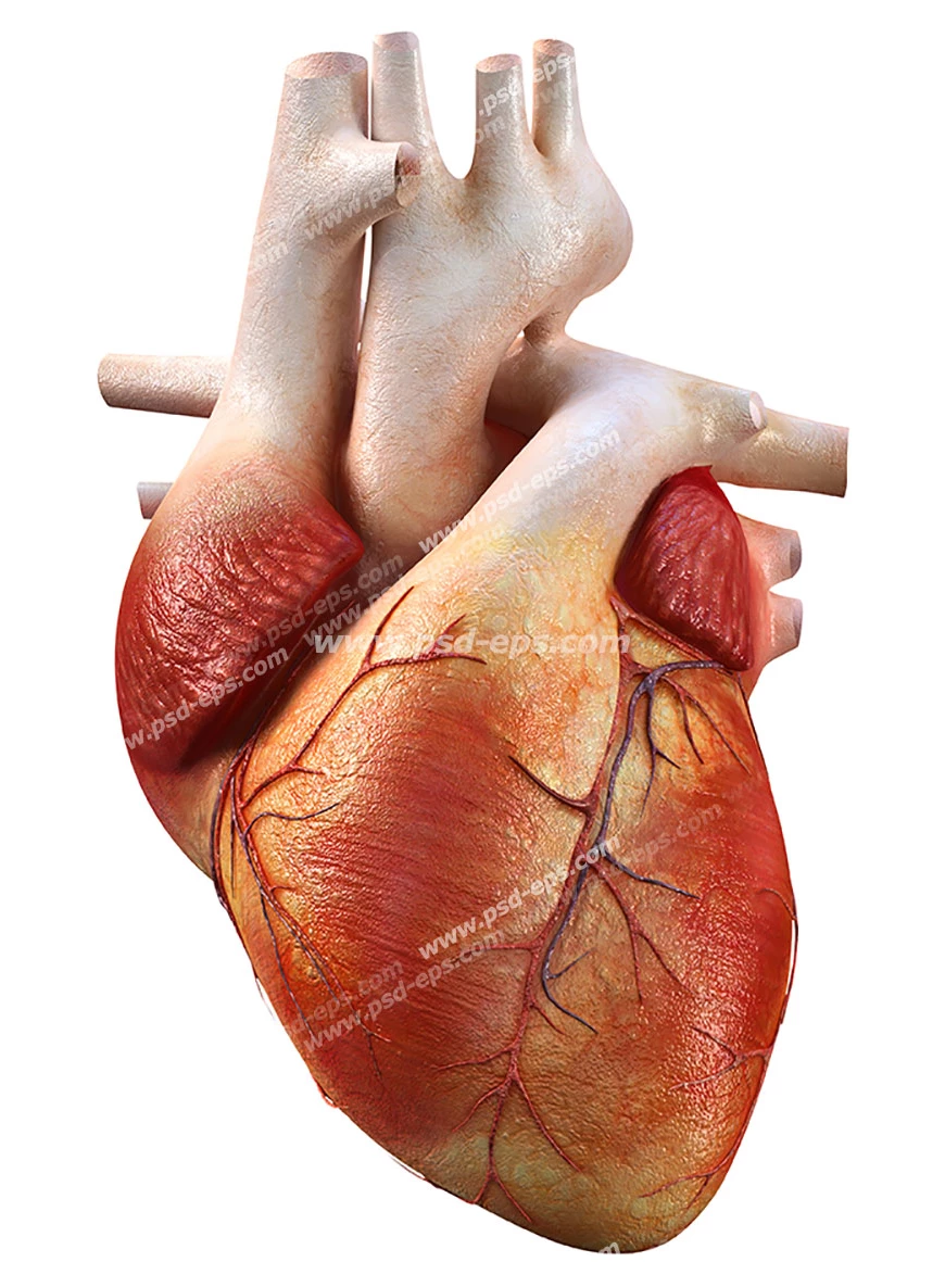 عکس قلب شکسته فانتزی