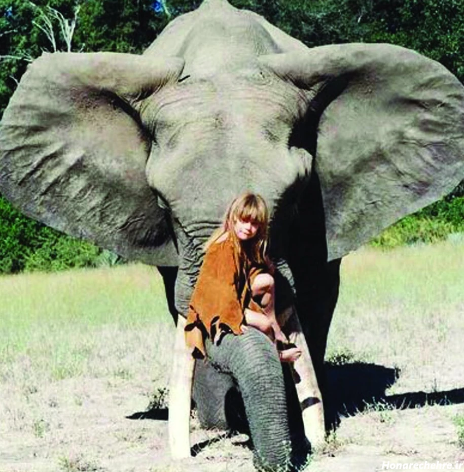 عکس حیوانات وحشی با اسم