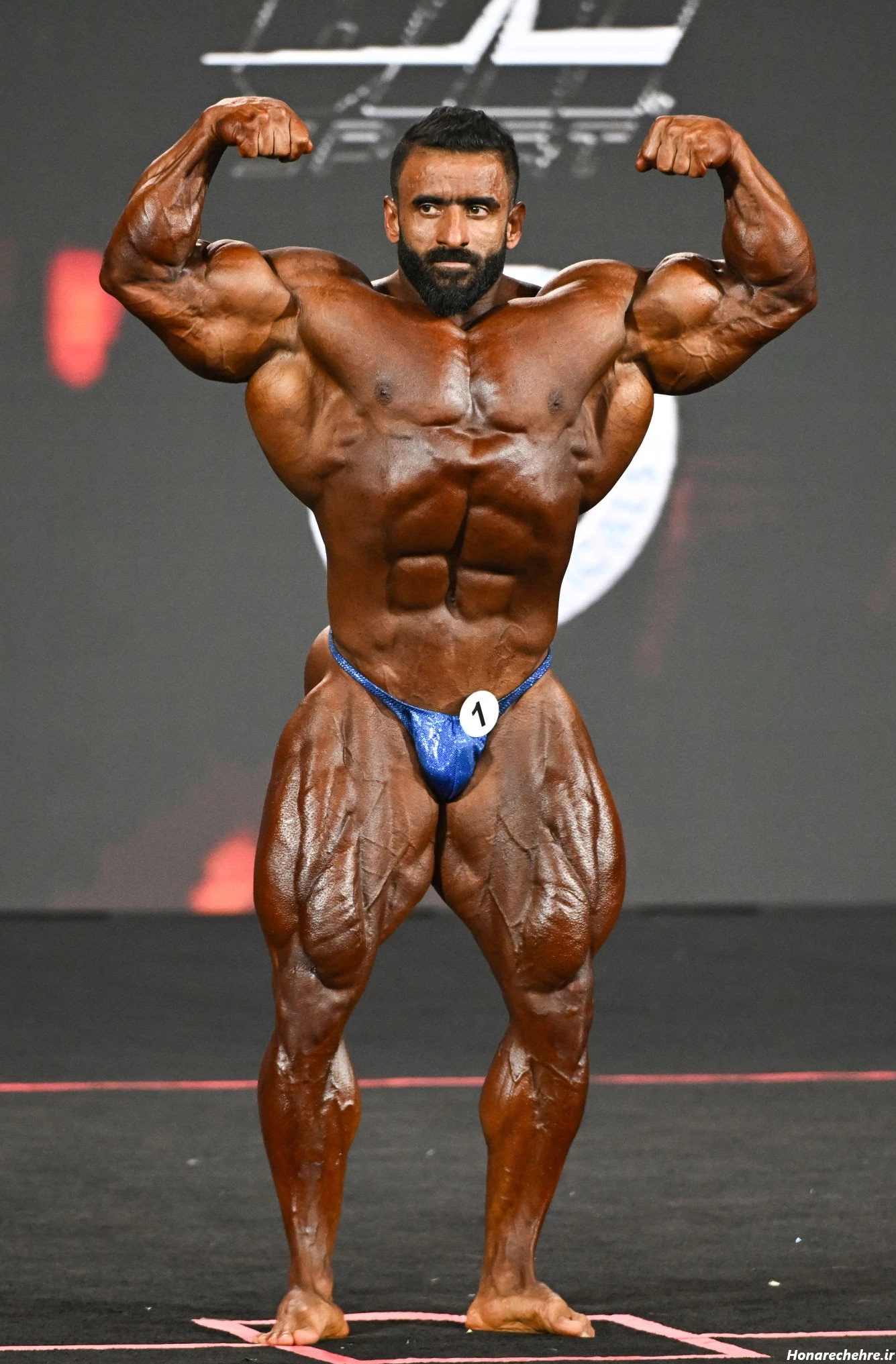 عکس هادی چوپان با آرنولد