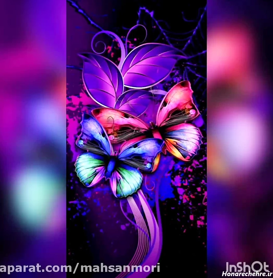 عکس پروانه فانتزی