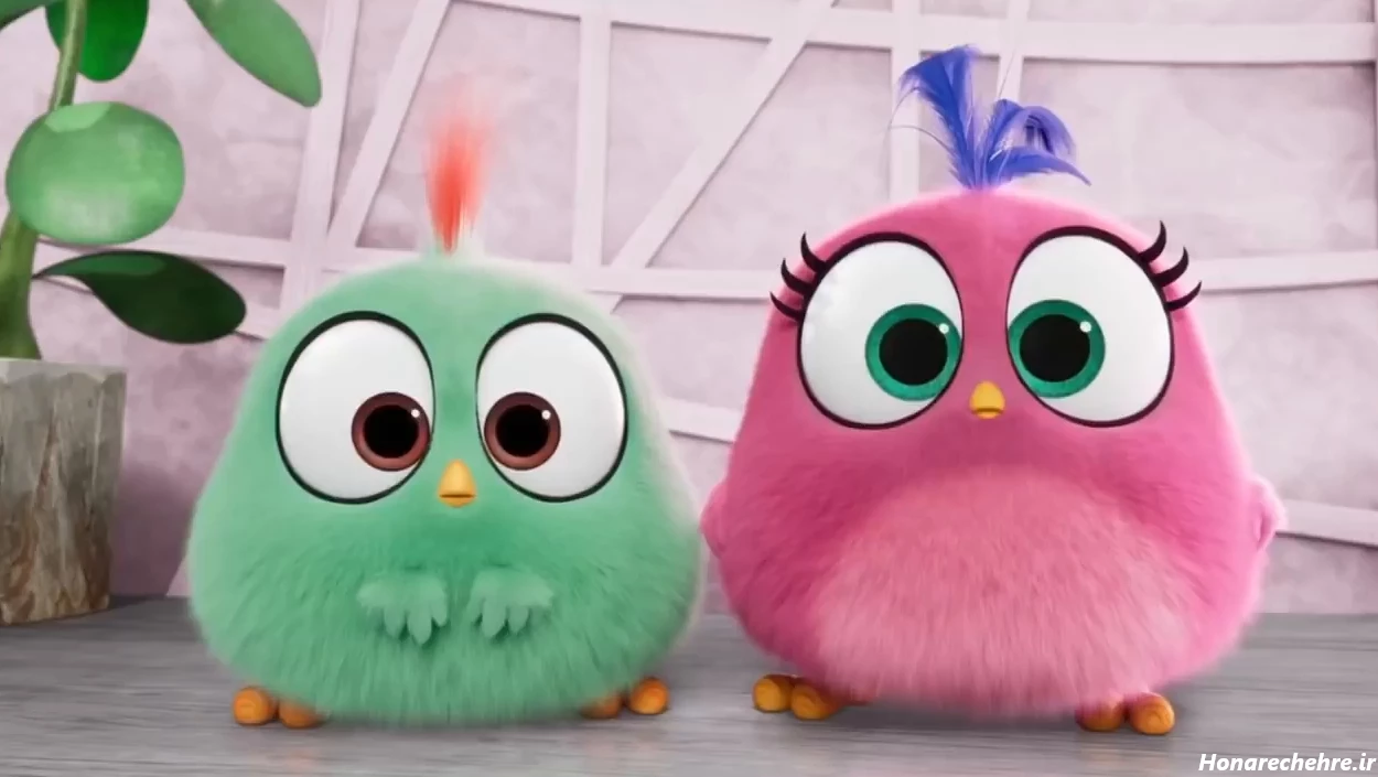 انیمیشن angry birds 2019-دانلود کارتون انگری بردز 2019