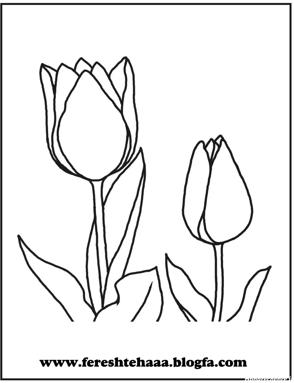 نقاشی گل آسان