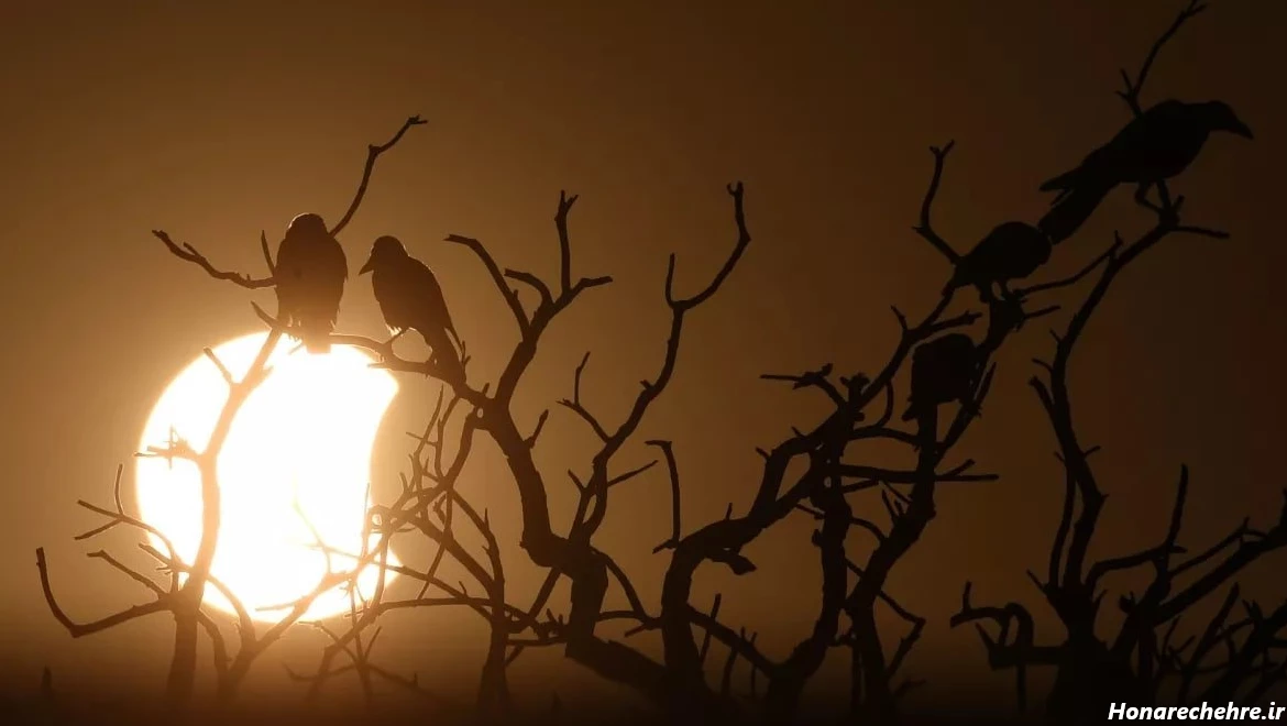 بزرگترین خورشید گرفتگی جهان