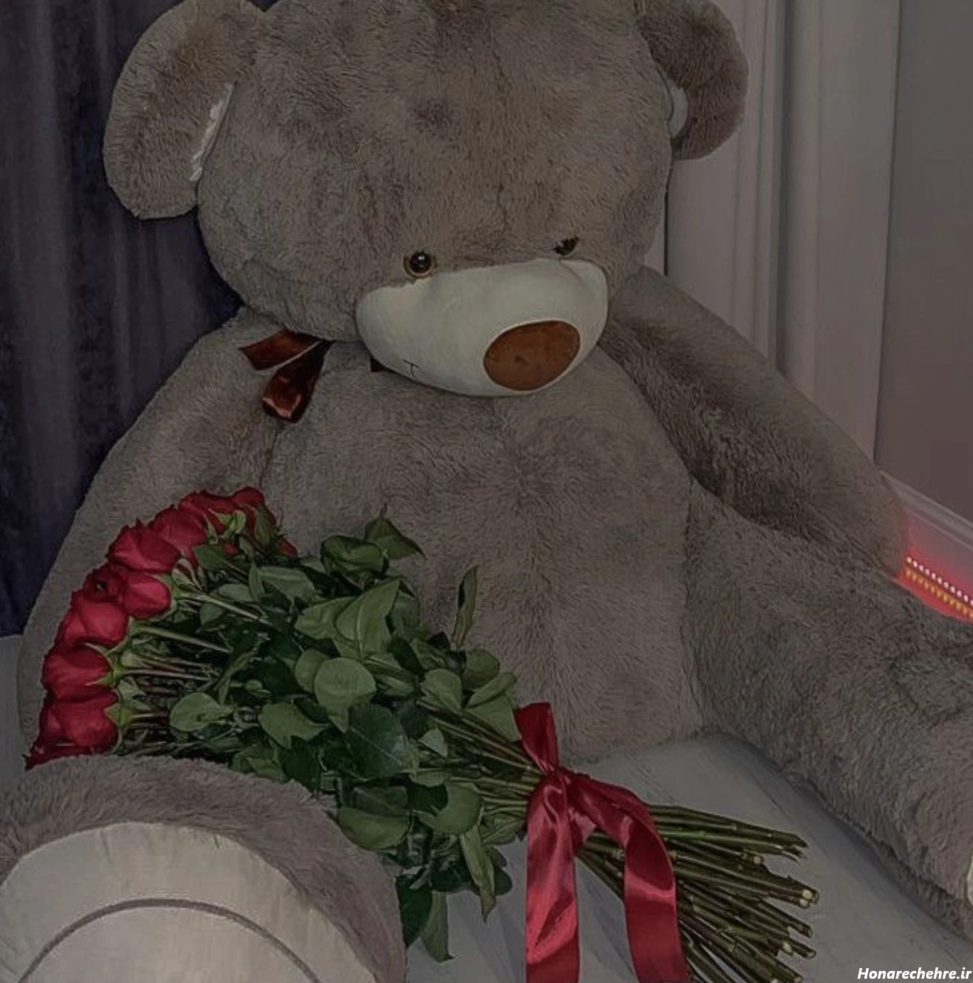 عکس پروفایل خرس غمگین