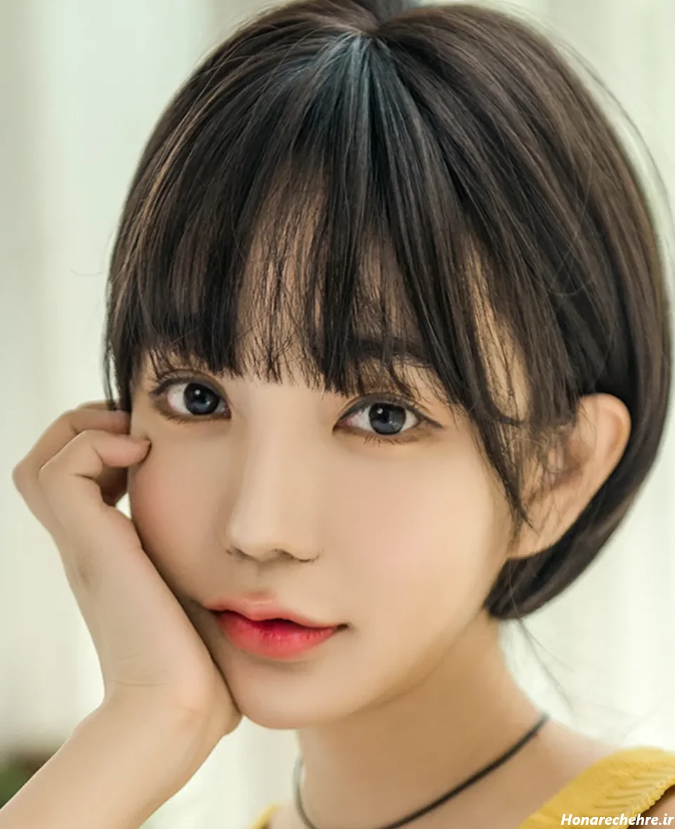 چتری کره ای بلند