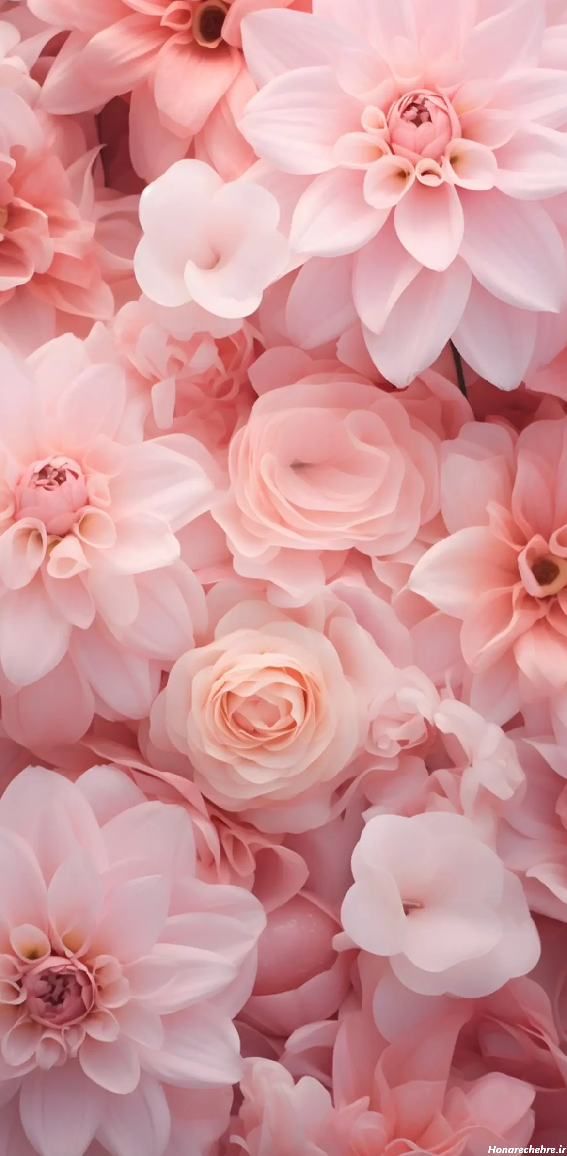 تصویر زمینه دخترانه شیک و باکلاس