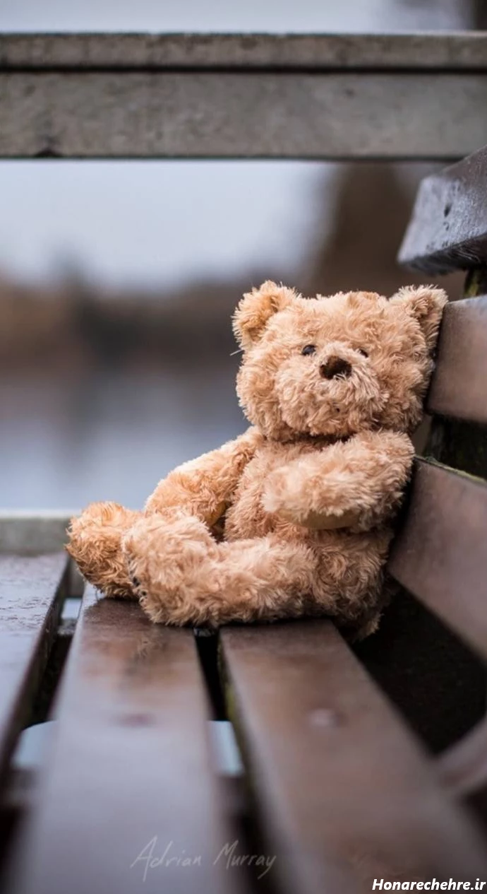 عکس پروفایل خرس غمگین