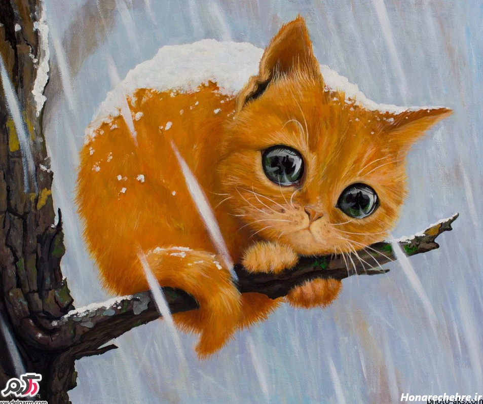 عکس نقاشی گربه رنگ شده