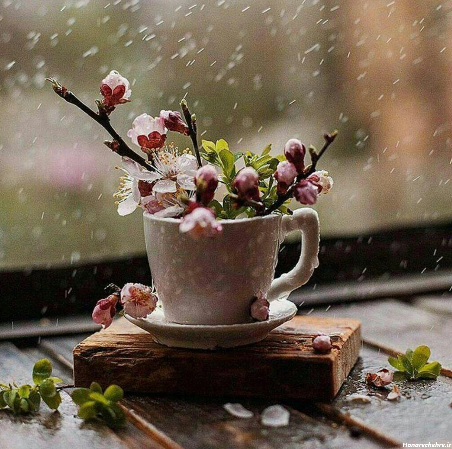 عکس باران برای پروفایل