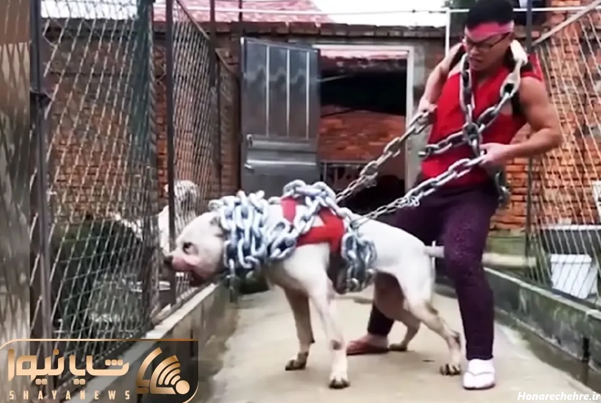 حمله وحشی ترین سگ دنیا به انسان