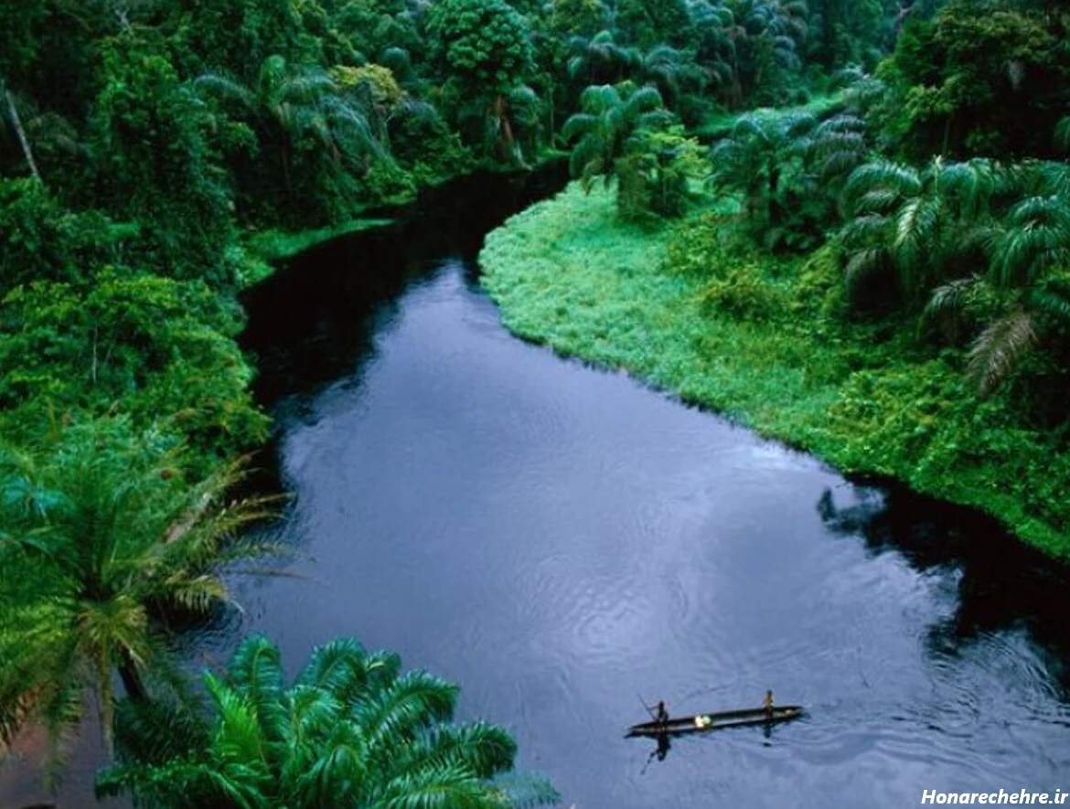 عکس جنگل ترسناک ایران