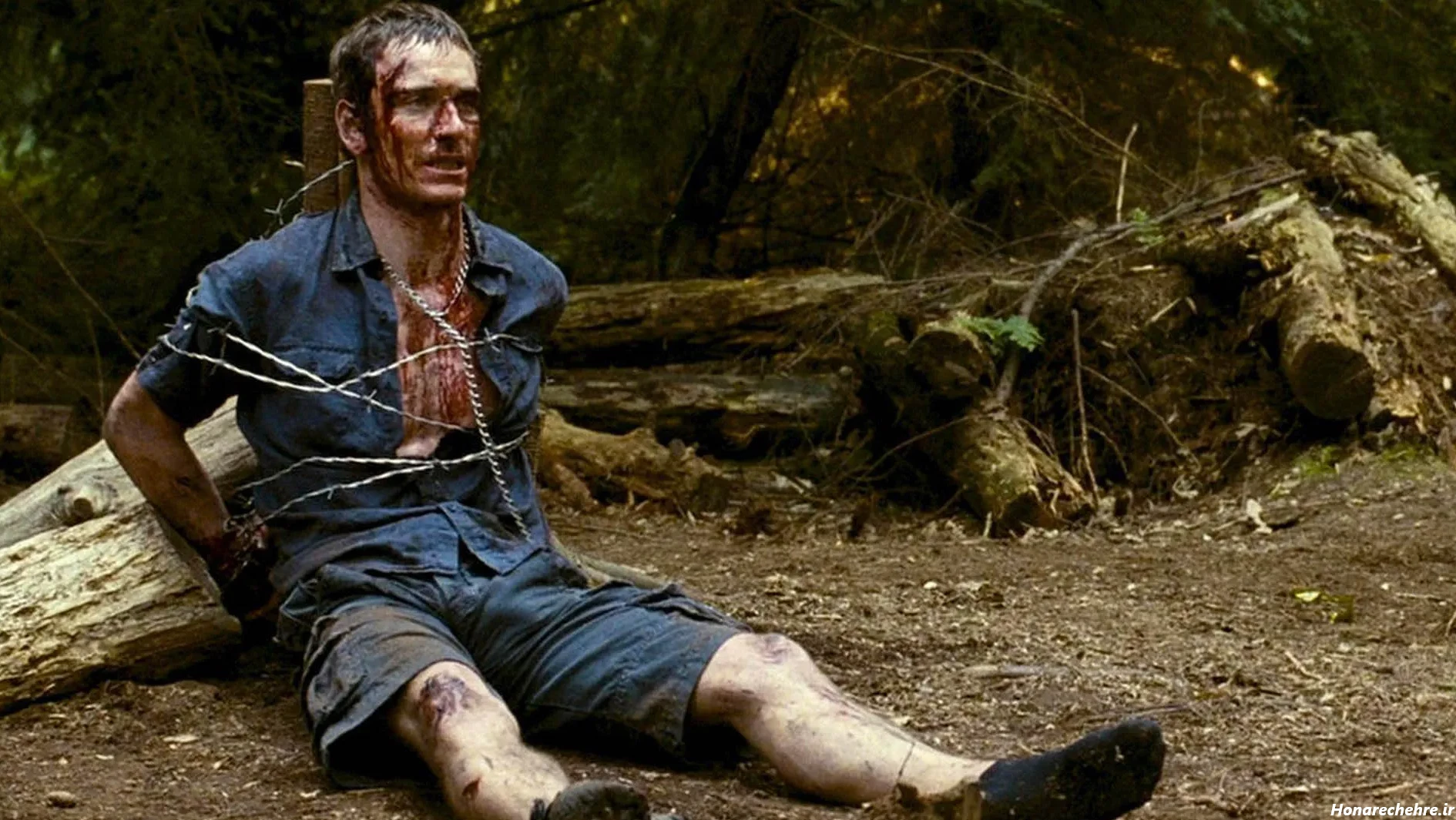 عکس جنگل ترسناک ایران