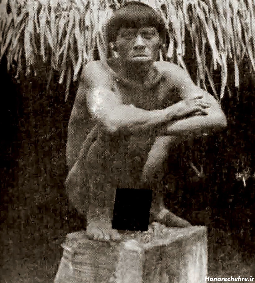 عکس جنگل ترسناک ایران