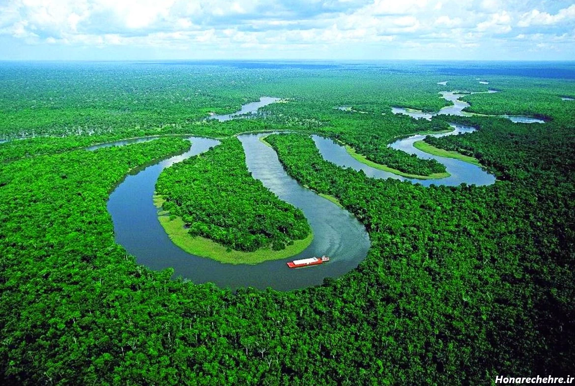 عکس جنگل ترسناک ایران