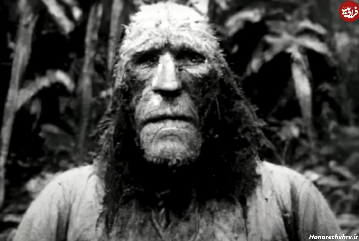 عکس جنگل ترسناک ایران