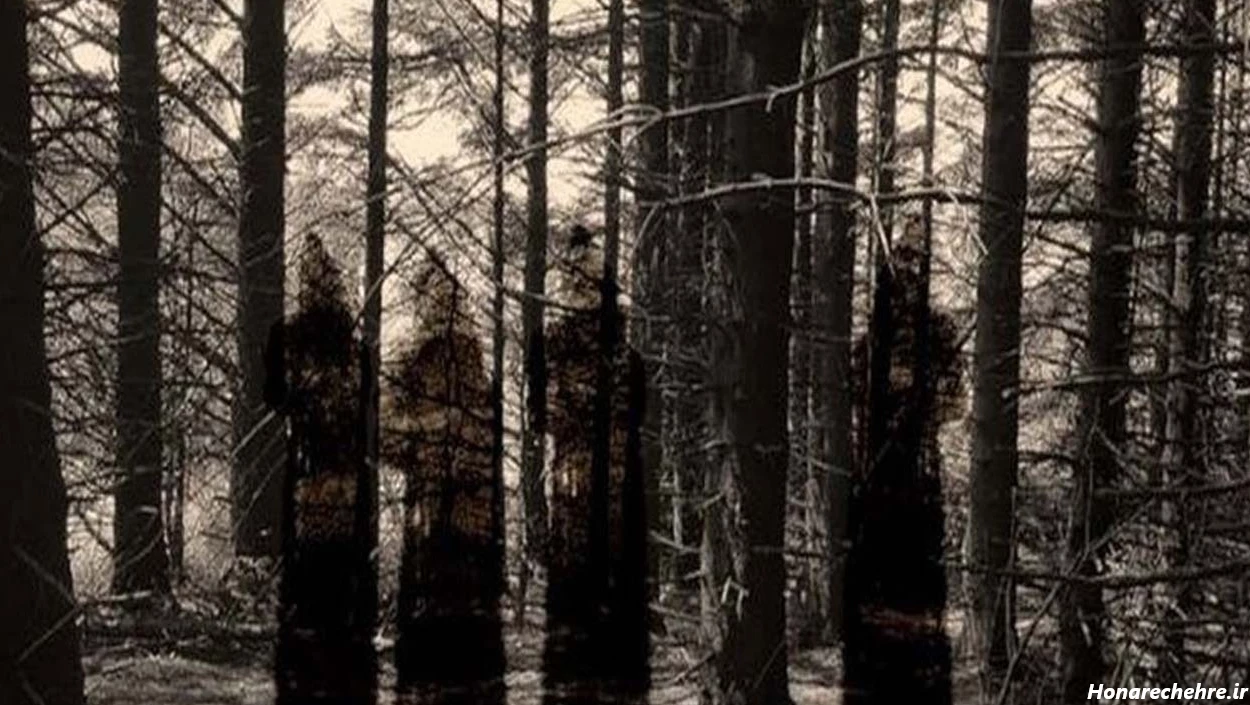 عکس جنگل ترسناک ایران