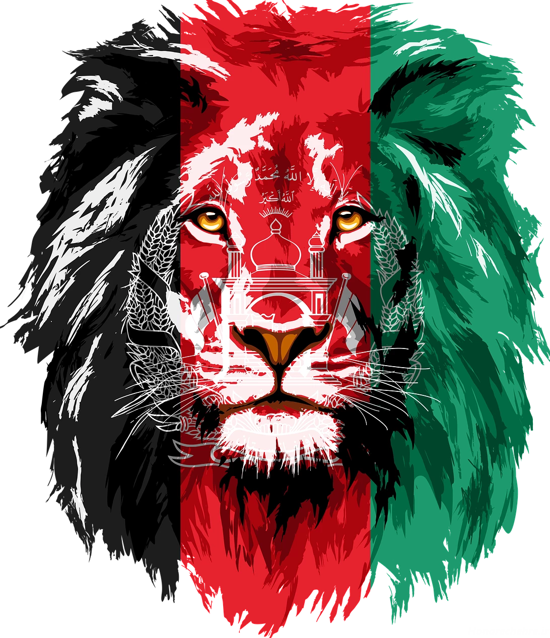 عکس پرچم افغانستان غمگین برای پروفایل