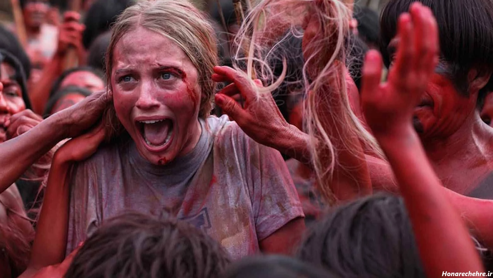 عکس جنگل ترسناک ایران