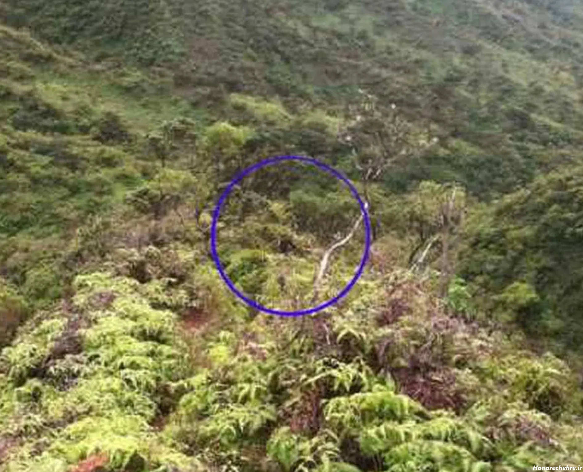 ۱۰ عکس ترسناک در حد مرگ