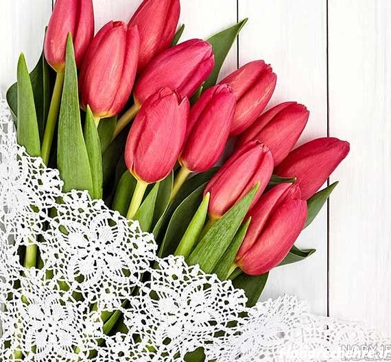 عکس گل برای پروفایل واتساپ نوشته دار