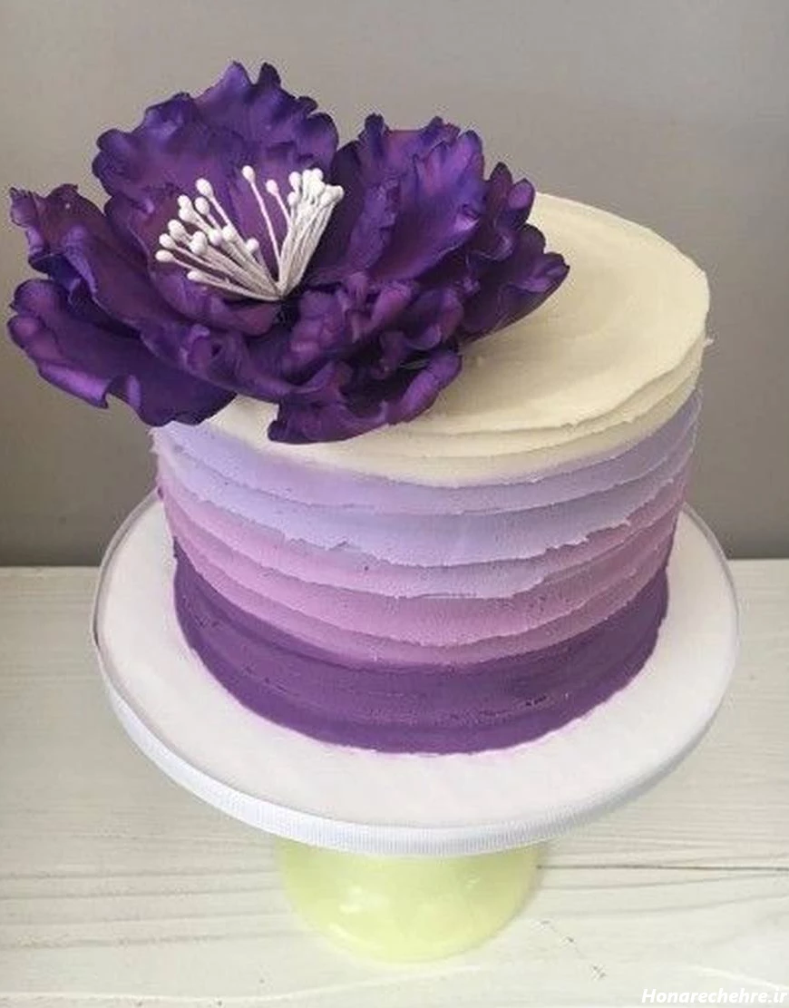 کیک پاپیونی ترند اینستا