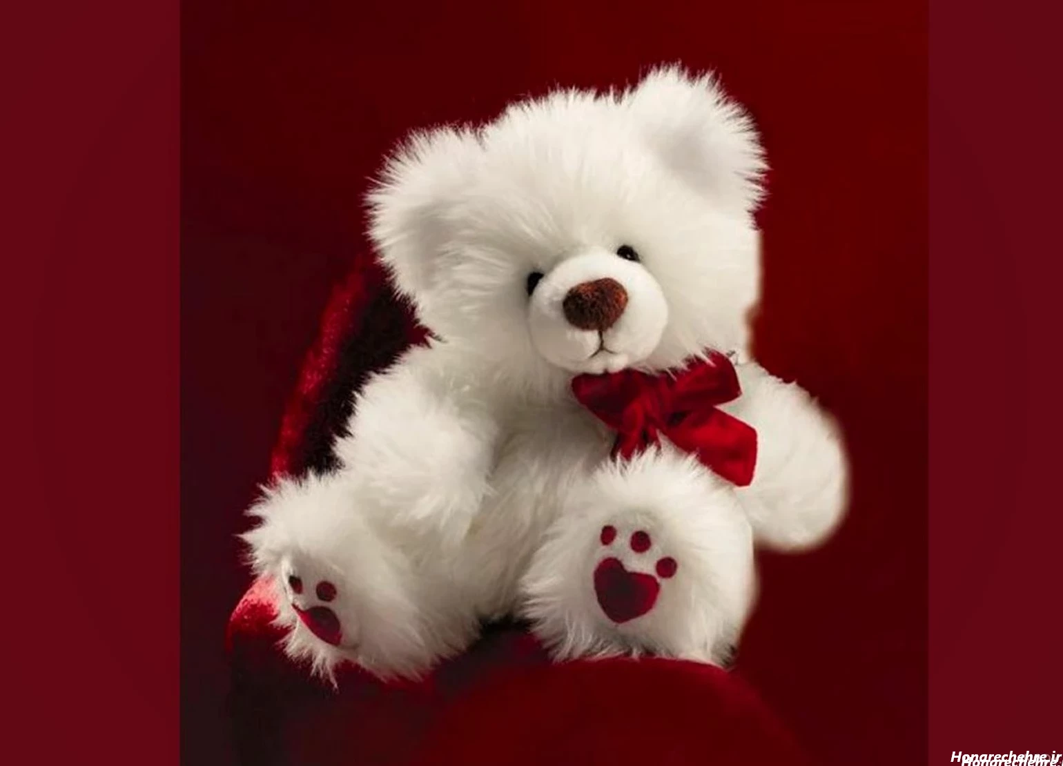 عکس پروفایل خرس غمگین