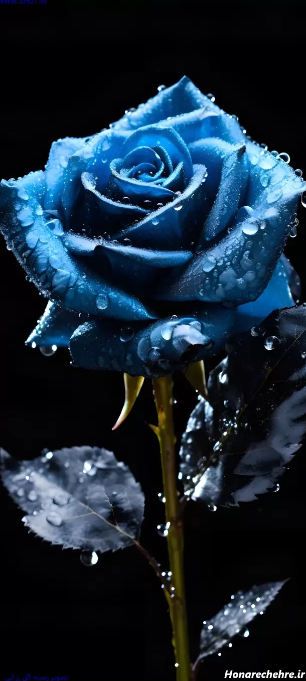29 