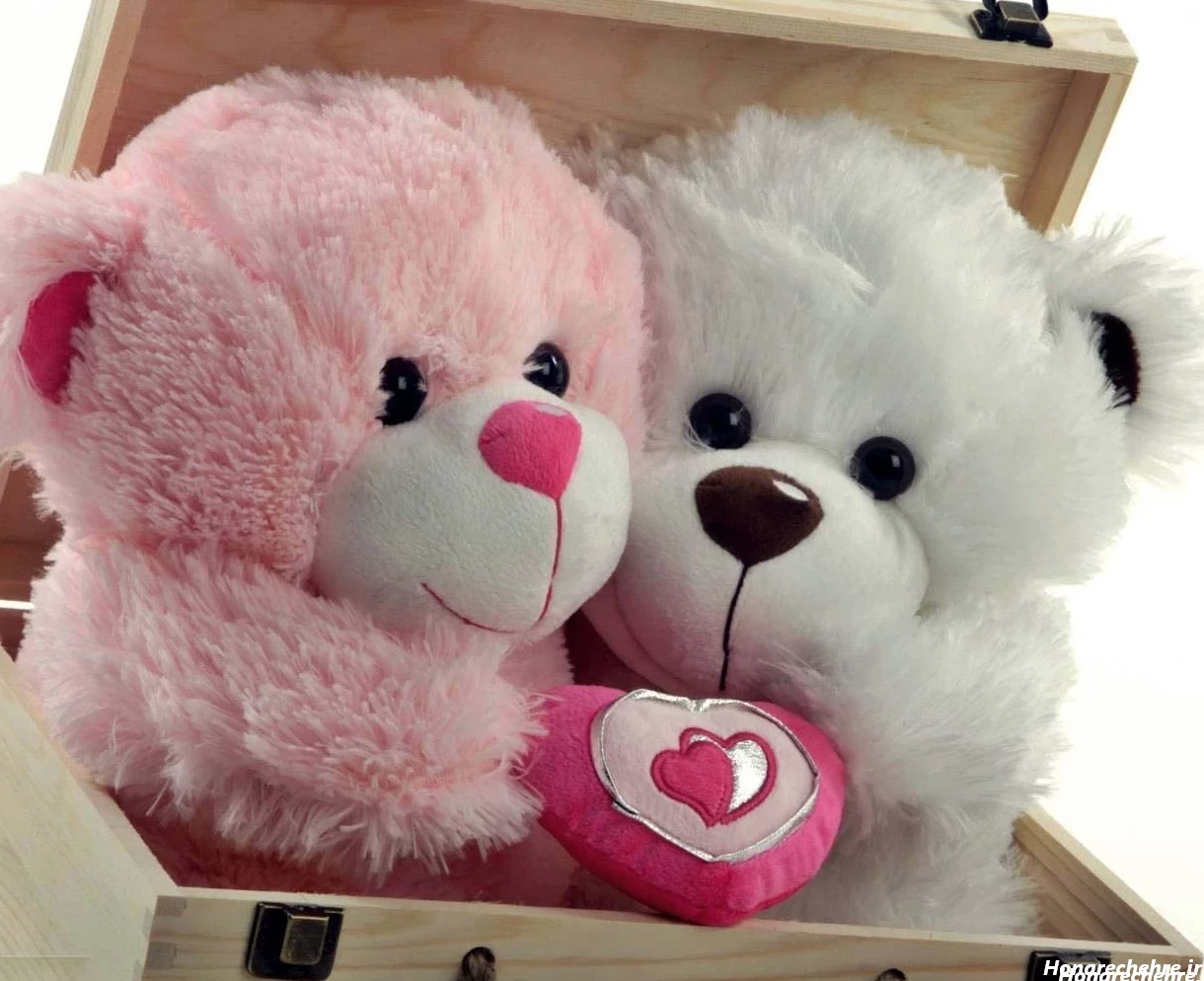 عکس پروفایل خرس غمگین