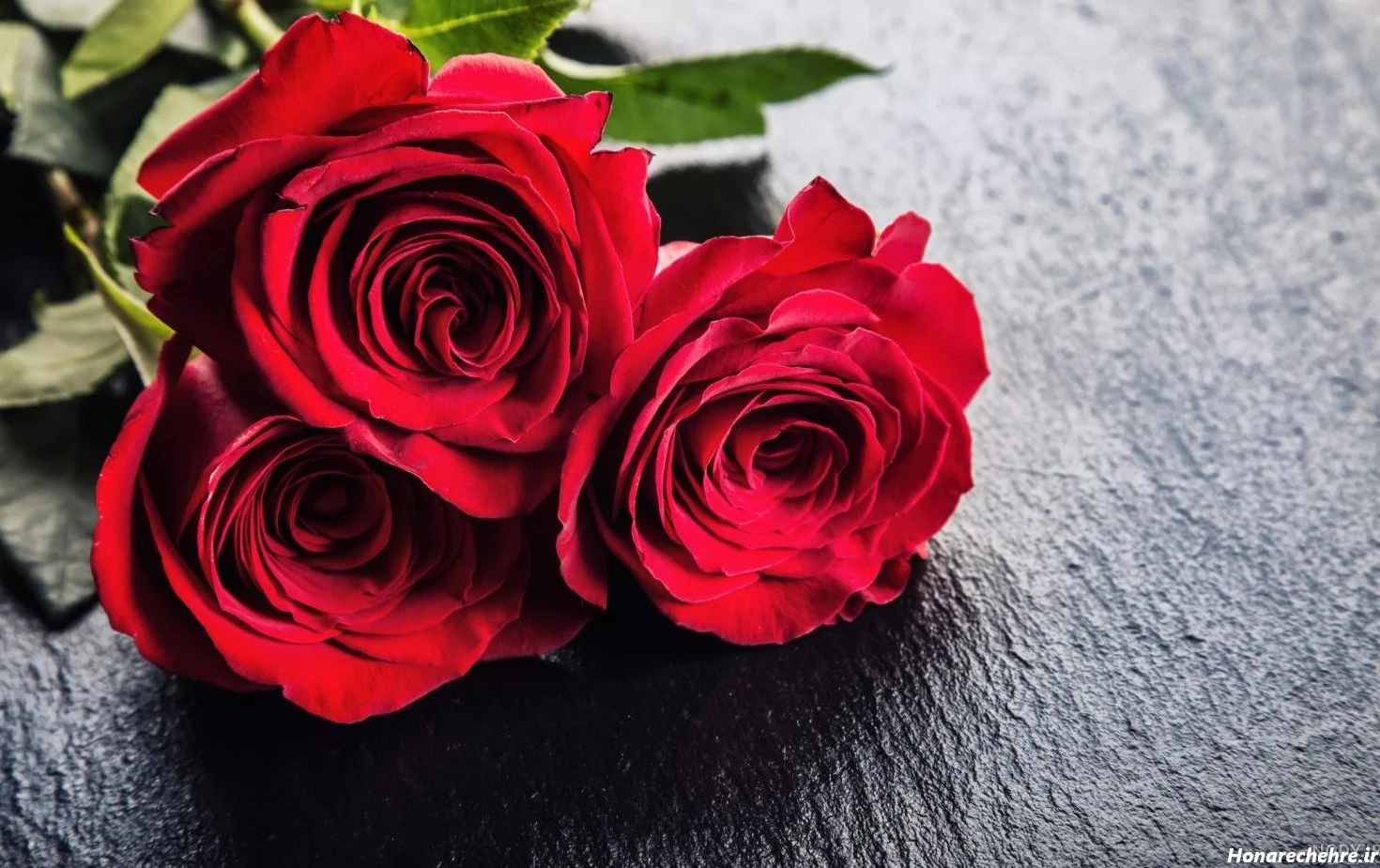 عکس گل رز قرمز عاشقانه طبیعی