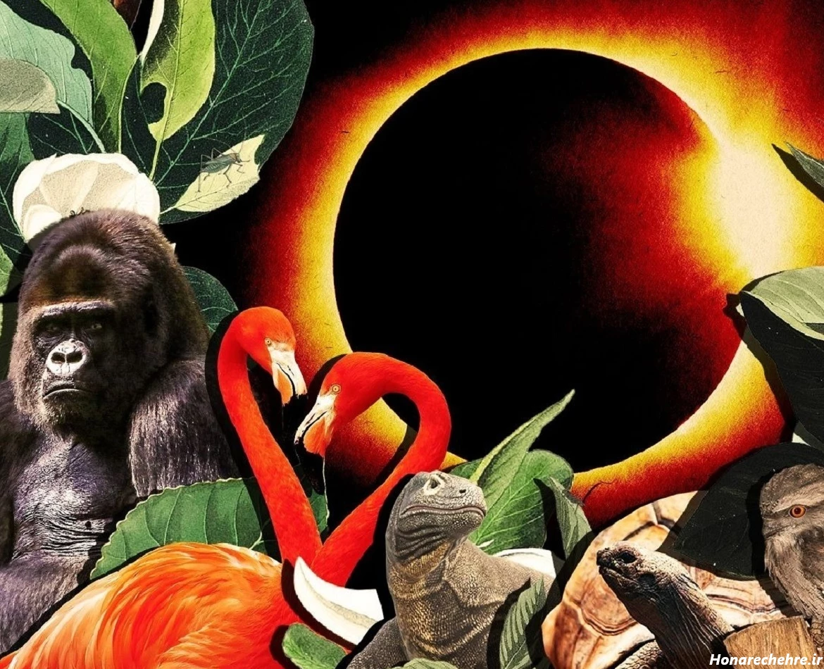 بزرگترین خورشید گرفتگی جهان