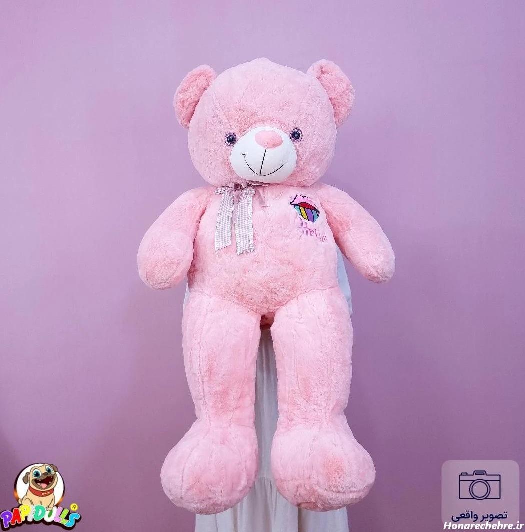 عکس خرس های کله فندقی کیوت