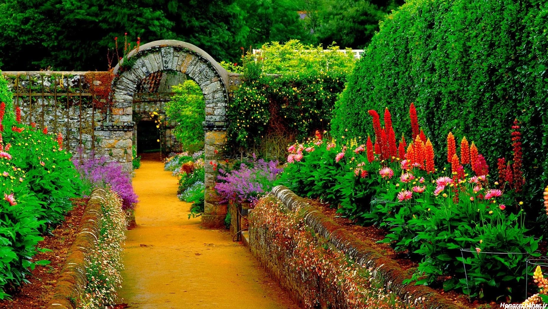 عکس طبیعت واقعی برای پروفایل