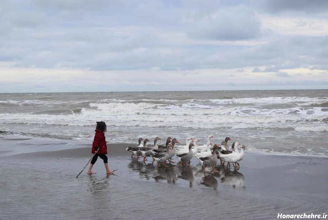 عکس دریای خلیج فارس