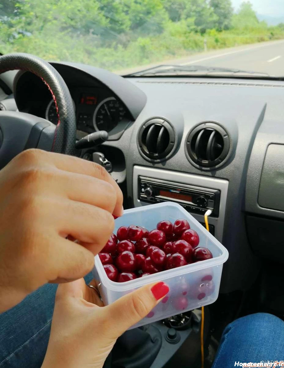 عکس دست دونفره تو ماشین پژو پارس