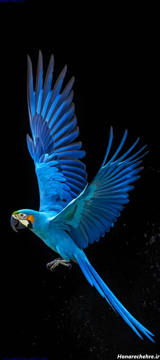 عکس سبز پاستیلی