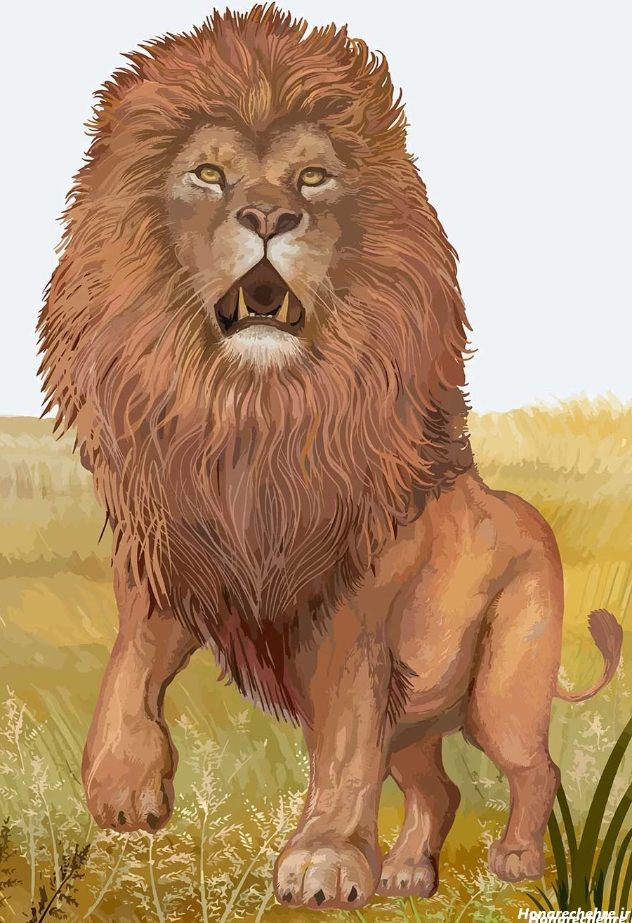 نقاشی صورت شیر