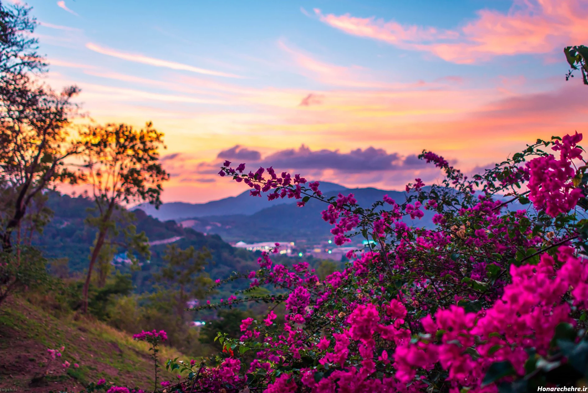 گالری عکس طبیعت