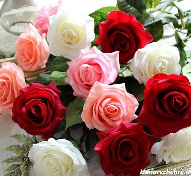 عکس گل رز قرمز عاشقانه طبیعی