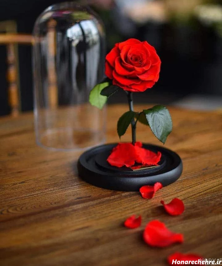 عکس گل برای پروفایل واتساپ نوشته دار