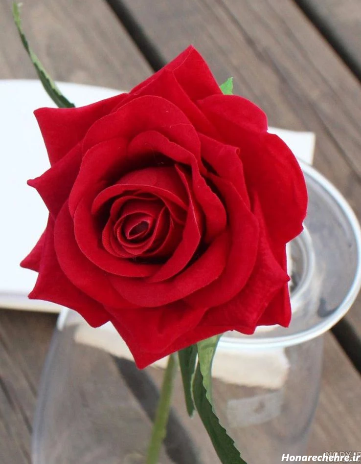 عکس گل برای پروفایل واتساپ نوشته دار