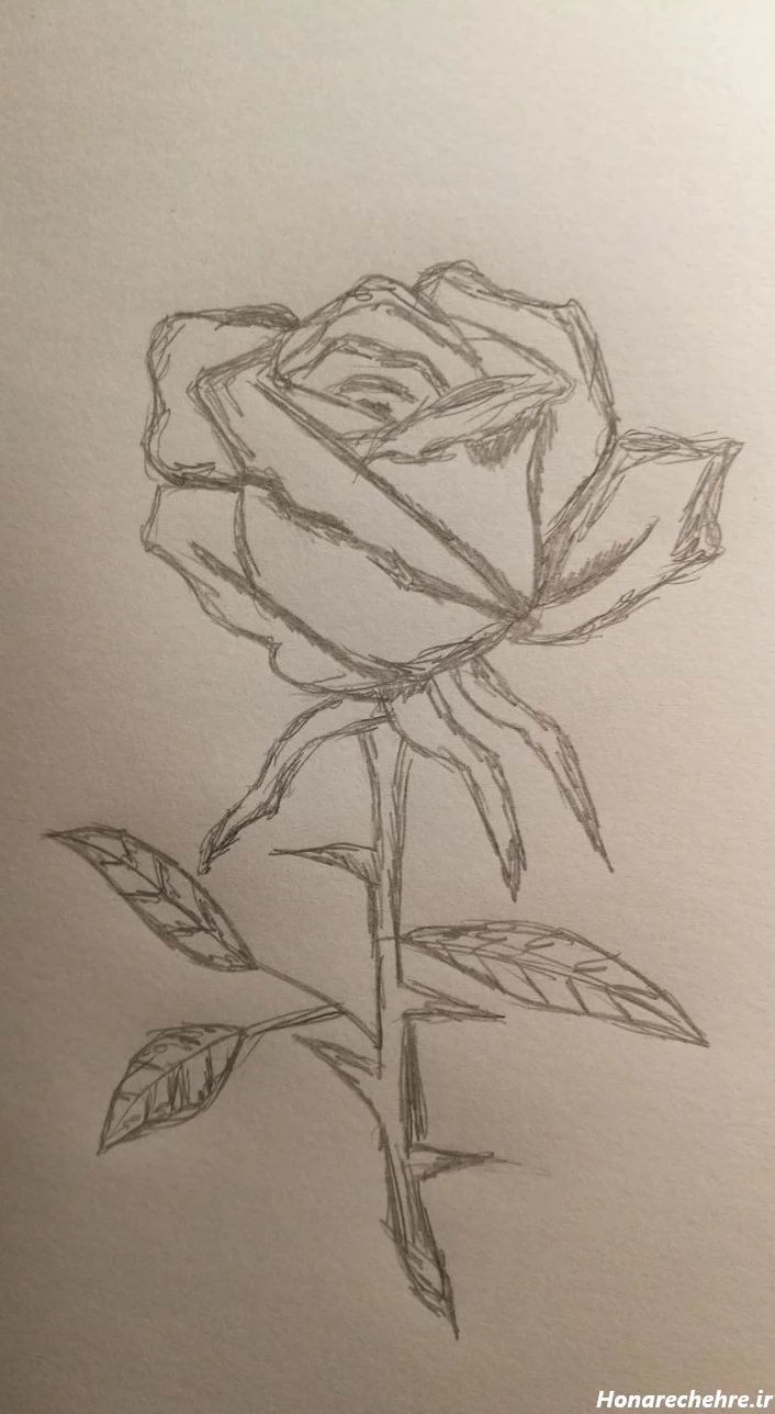 نقاشی گل آسان