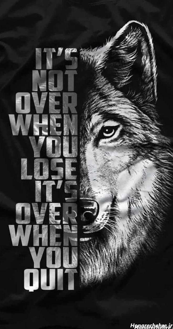 عکس گرگ واقعی برای پروفایل