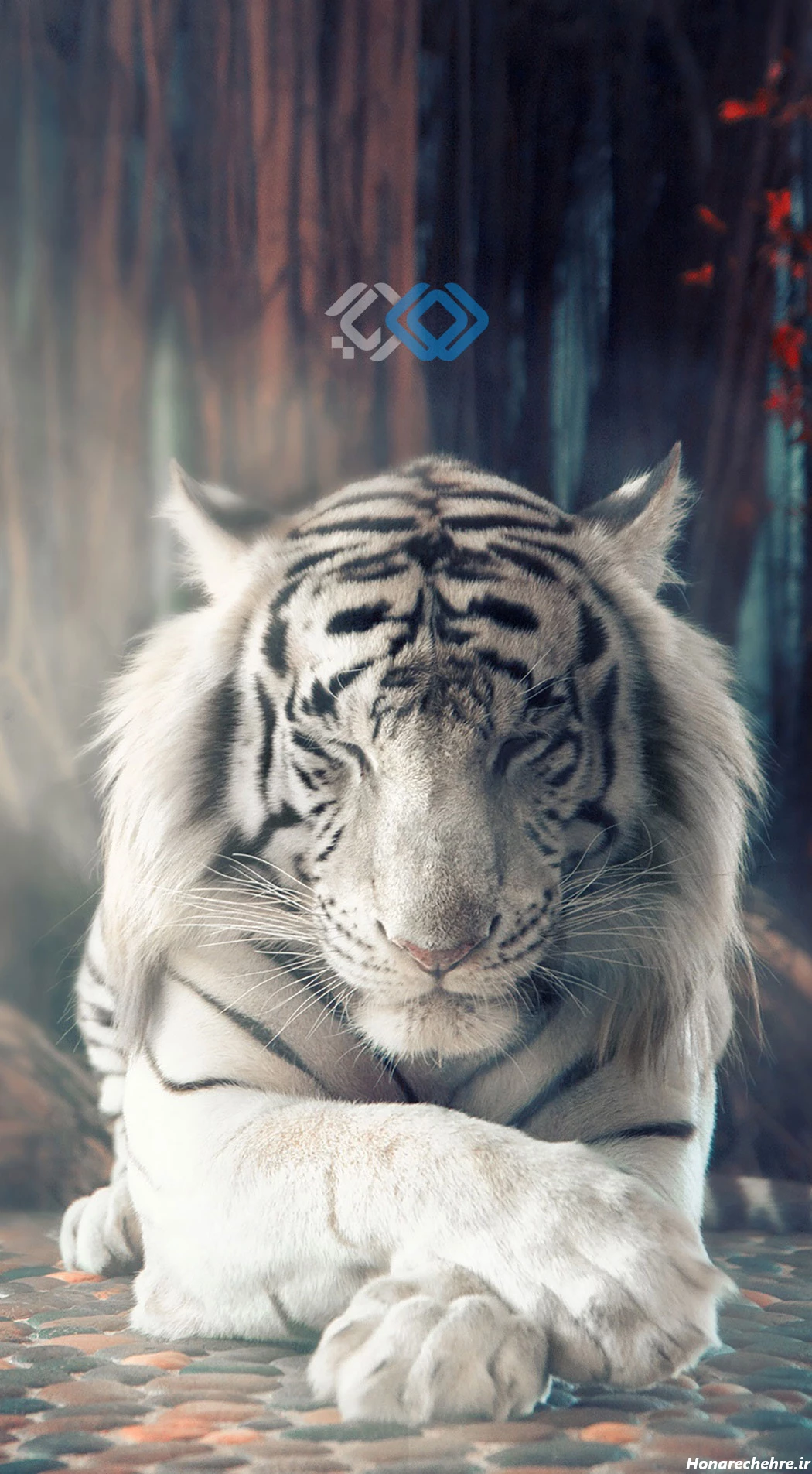 عکس حیوانات وحشی با کیفیت بالا