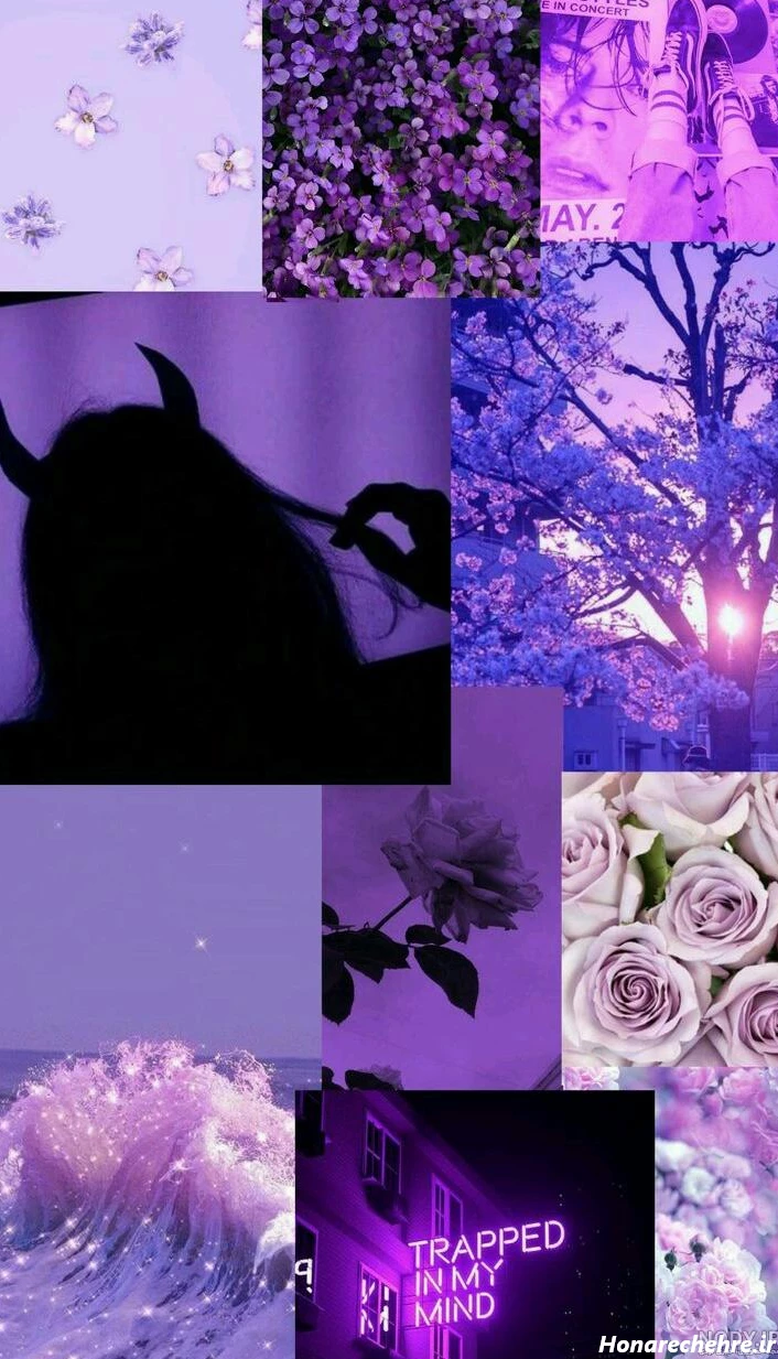 عکس بنفش لاکچری