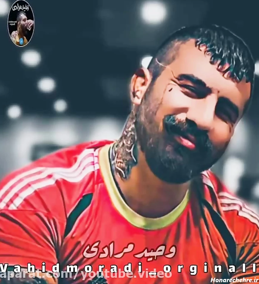 14 عکس از زیبایی منحصر به فرد عقاب وحید مرادی